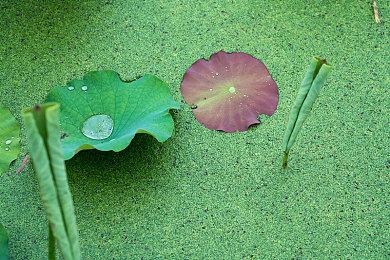 《绝地潜兵2》开发商正在“调查”其进度跟踪问题